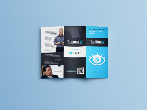 TrueBlue Vison Corporate Materials