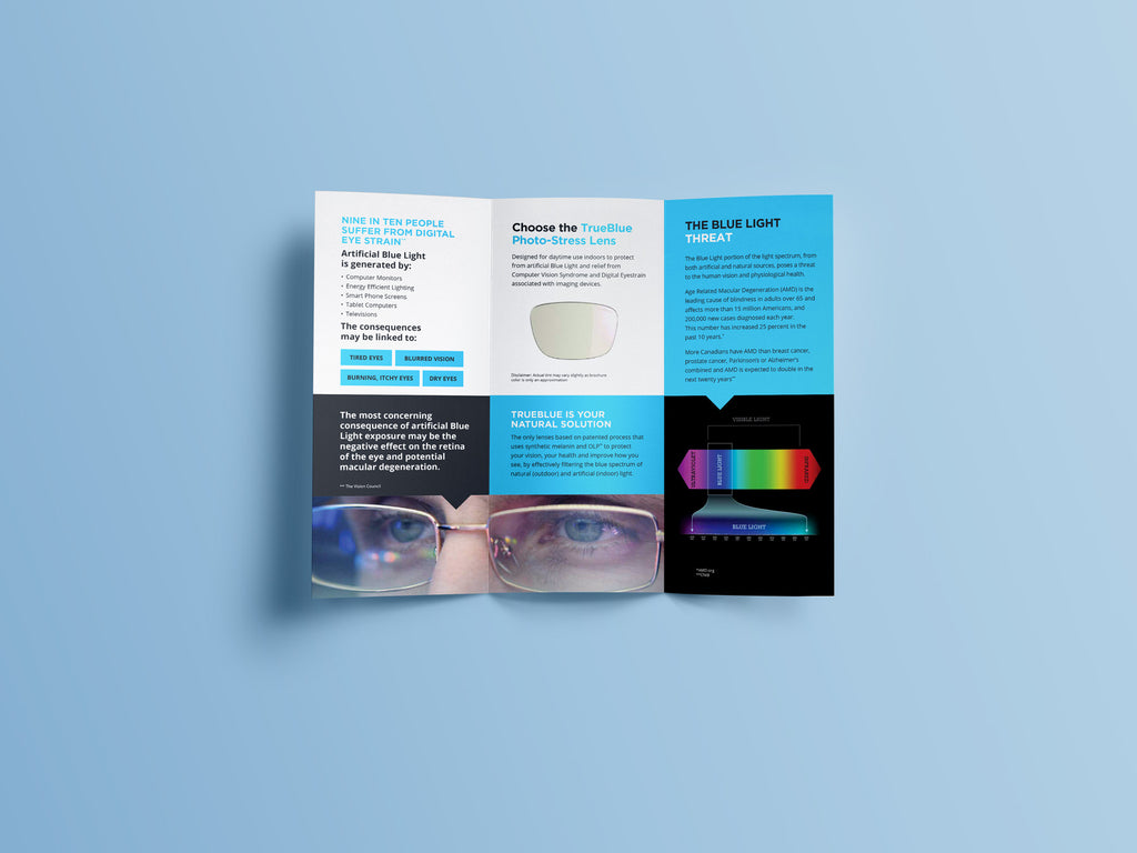 TrueBlue Vison Corporate Materials