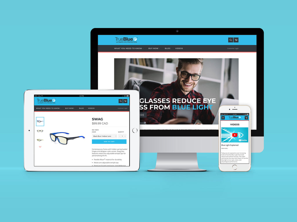 TrueBlue Vision Website