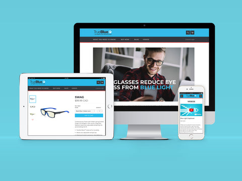 TrueBlue Vision Website