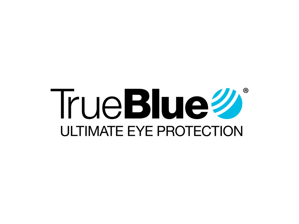 TrueBlue Vison Corporate Materials